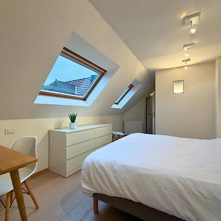 Le Phare - Penthouse Duplex Sur La Lippenslaan - 10min à Pied - Idéal Groupe Famille&amis - 2 Terrasses - Garage Privé Gratuit à Proximité